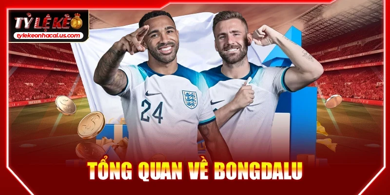 Bongdalu - Trực Tiếp Kết Quả Bóng Đá Hôm Nay | Tỷ Số Bóng Đá Tổng quan về bongdalu